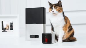 Do you know what your pet is doing at home? And Petcube knows!