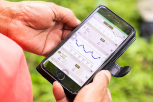 IoT в сельском хозяйстве: сенсоры на фермах