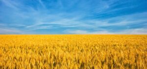ウクライナ農業の特徴